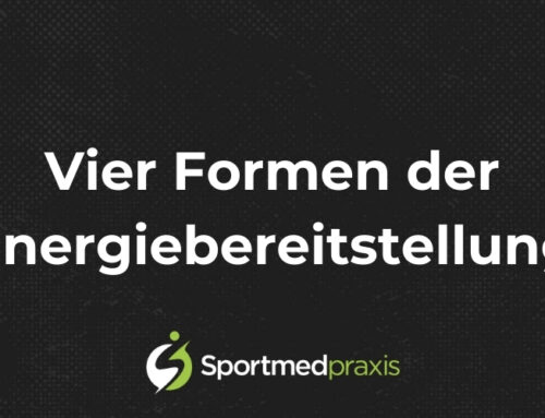 Wie unser Körper Energie bereitstellt – einfach erklärt