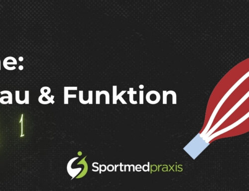 Sehne – Die stille Kraft im Bewegungsapparat – Teil 1